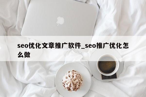 seo优化文章推广软件_seo推广优化怎么做