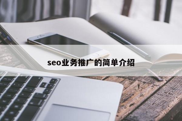 seo业务推广的简单介绍