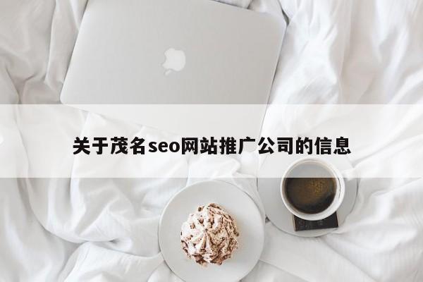 关于茂名seo网站推广公司的信息