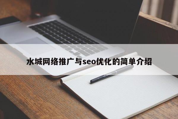水城网络推广与seo优化的简单介绍