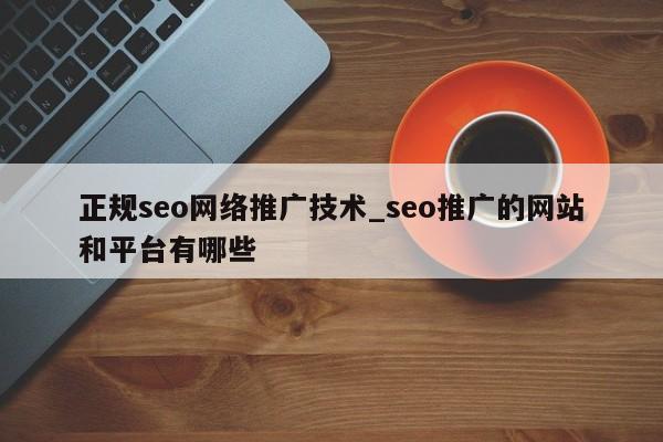 正规seo网络推广技术_seo推广的网站和平台有哪些