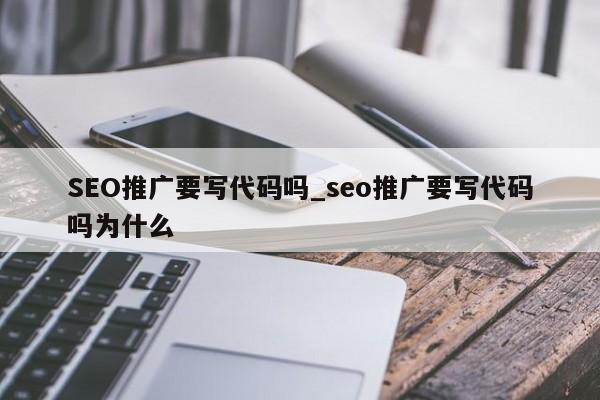SEO推广要写代码吗_seo推广要写代码吗为什么