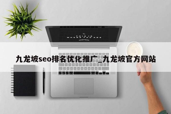 九龙坡seo排名优化推广_九龙坡官方网站