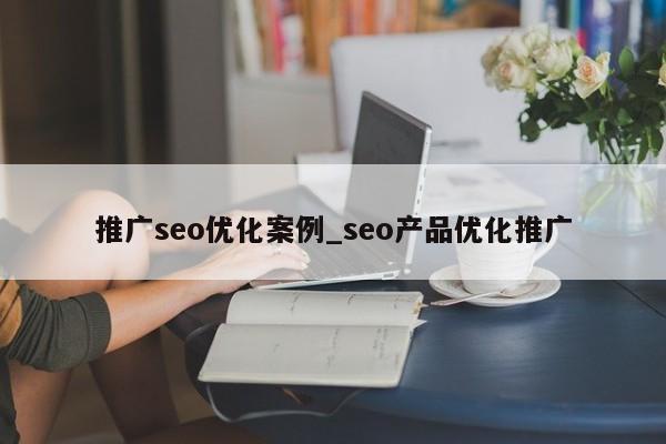 推广seo优化案例_seo产品优化推广